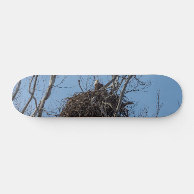 Guarding Eagle Skateboard (Horz)