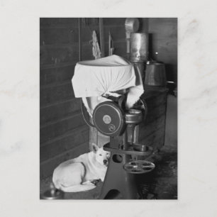 Guarding the Cream Separator, 1936 Postcard