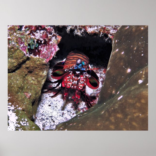 Guarding the Entrance Poster (Front)