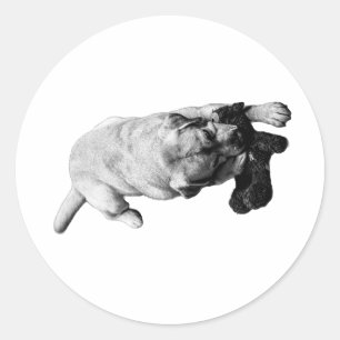 Guarding the Plush – Mini Photo Classic Round Sticker