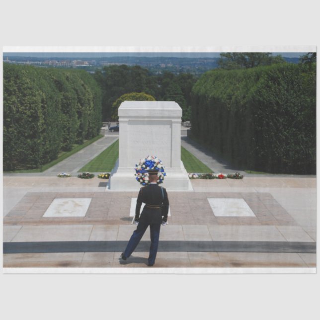 Guarding the Unknown Soldier Decoupage  Tissue Paper (Front)