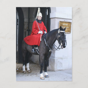 Guardsman, Household Cavalry Postcard