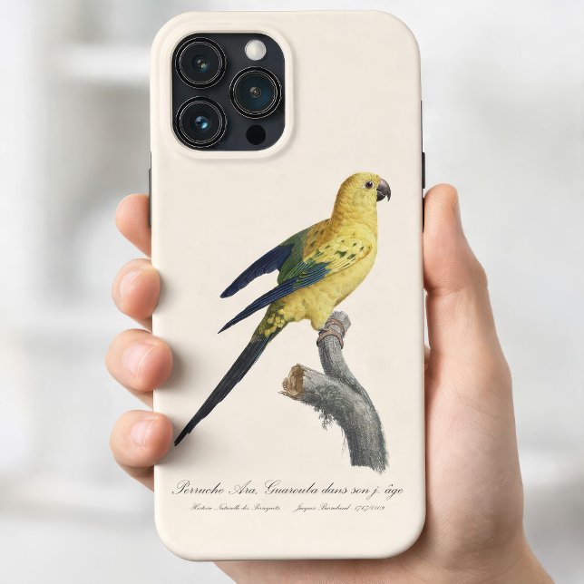 Guarouba dans sons jeune age / Sun parakeet  Case-Mate iPhone Case (Guarouba dans sons jeune age / Sun parakeet. iPhone 13 Pro Max Case)