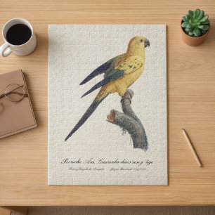 Guarouba dans sons jeune age / Sun parakeet  Jigsaw Puzzle