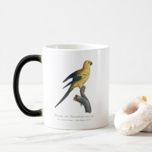 Guarouba dans sons jeune age / Sun parakeet  Magic Mug