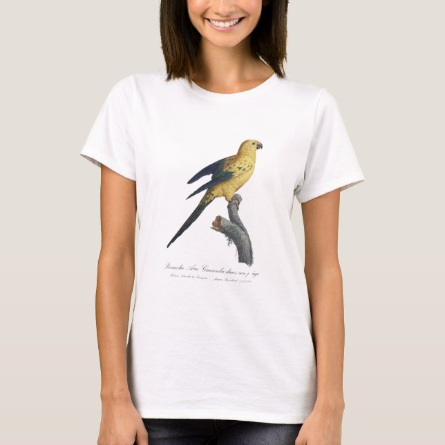 Guarouba dans sons jeune age / Sun parakeet  T-Shirt (Front)