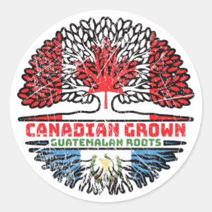 Guatemala Guatemalan Canadian Canada Tree Roots Classic Round Sticker