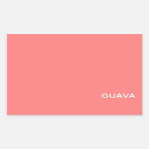 Guava pink colour name rectangular sticker