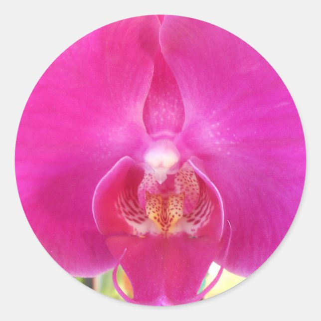 Guda Classic Round Sticker (Front)