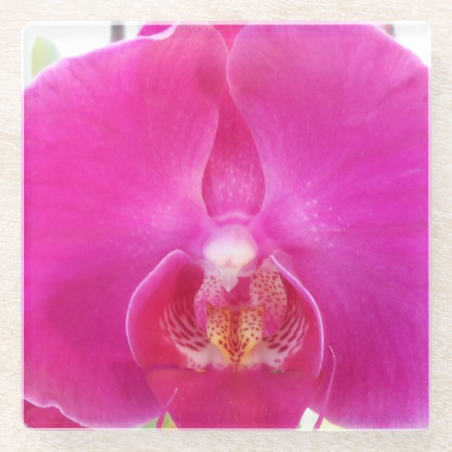 Guda Glass Coaster (Front)