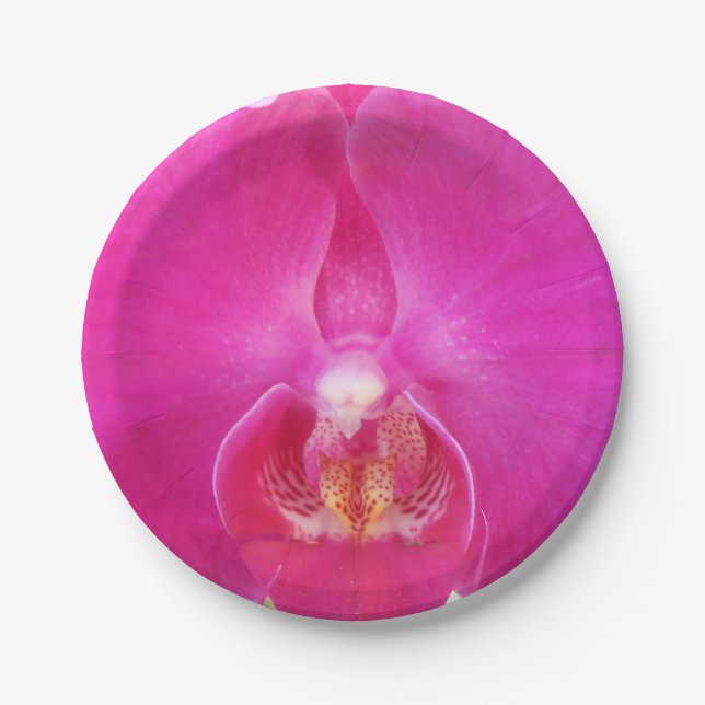 Guda Paper Plate (Front)