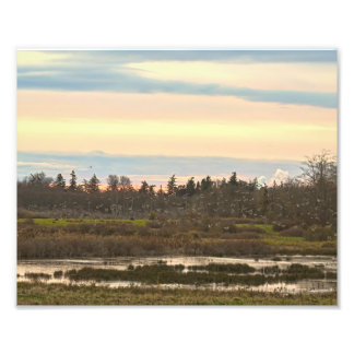 Guemes Island Valley,  Guemes Island  Photo Print