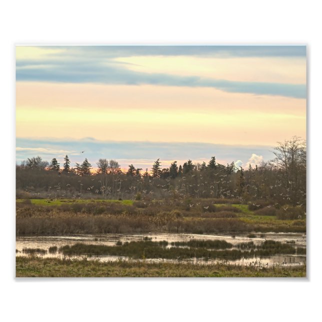 Guemes Island Valley,  Guemes Island  Photo Print (Front)