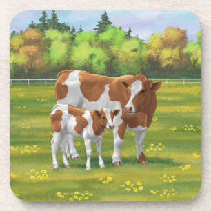 Guernsey Cow & Cute Calf in Summer Pasture Coaster