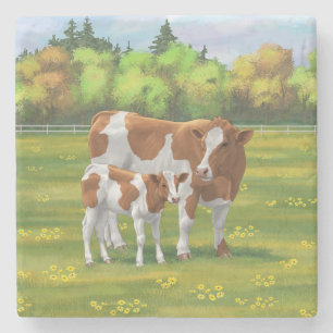 Guernsey Cow & Cute Calf in Summer Pasture Stone Coaster