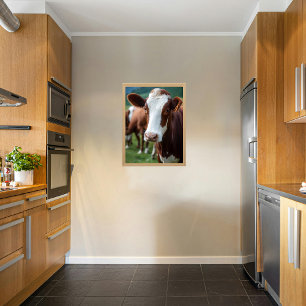 Guernsey Cow  Poster