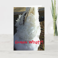 Guess What?! (Chicken Butt Photo) Greeting Card