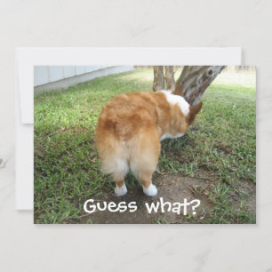 Guess What Corgi Butt Funny Dog Lover Card