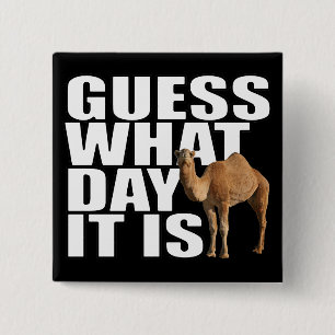 Guess What Day It Is Hump Day Camel 15 Cm Square Badge