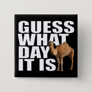 Guess What Day It Is Hump Day Camel 15 Cm Square Badge