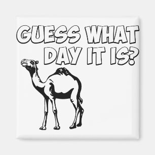 Guess What Day it Is? Hump Day Camel Magnet