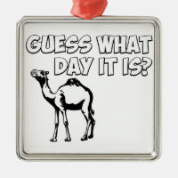 Guess What Day it Is? Hump Day Camel