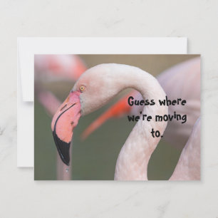 GUESS WHERE RELOCATION CARD