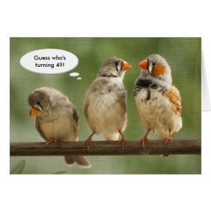 "Guess who is turning 49" Finches Template