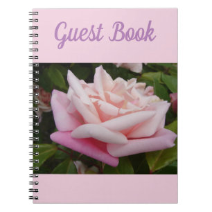 Guest Book Rose Beautiful Pink Rose Flower Retro