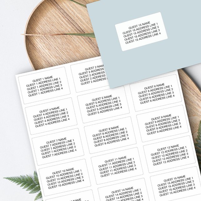 Guest Name and Address for 15 Invitation Envelopes (Creator Uploaded)