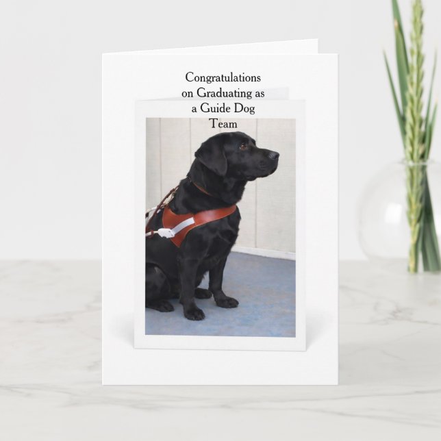 Guide Dog Graduation Congratulations Card (Front)