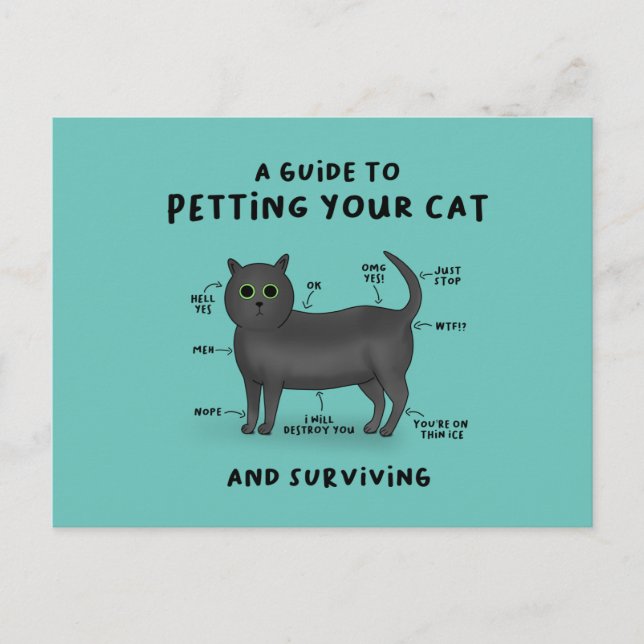 Guide to Petting Your Cat - Cat Humour Postcard (Front)