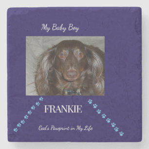 Guiding Pawprint Path Keepsake Stone Coaster