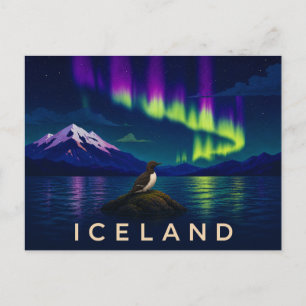 Guillemot Under the Aurora   Iconic Iceland Postcard