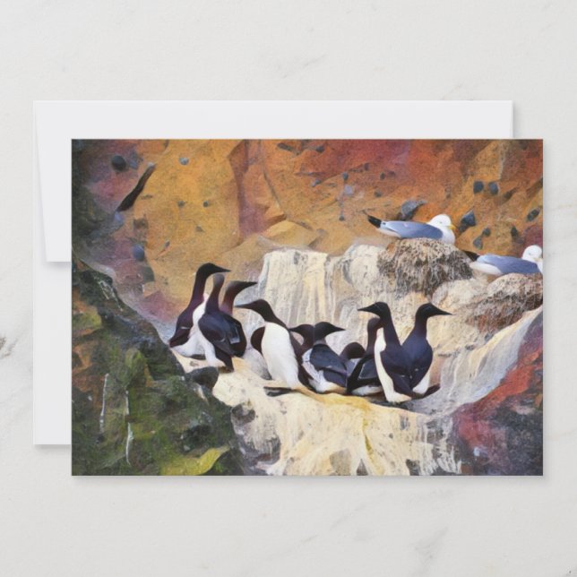 Guillemots Art Holiday Card (Front)