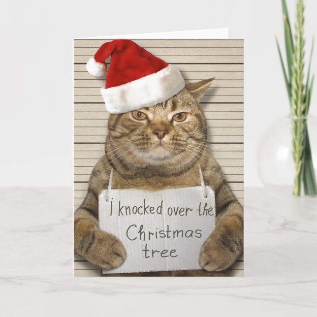 Guilty Cat in Santa hat Christmas Card (Front)