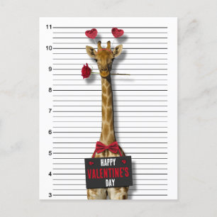 Guilty Giraffe Mugshot Funny Happy Valentine's Day Holiday Postcard