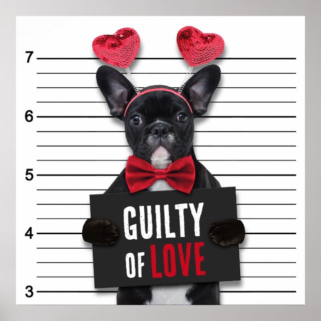 Guilty Love Mugshot Dog Funny Valentine's Day Poster (Front)