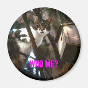 Guilty! Magnet