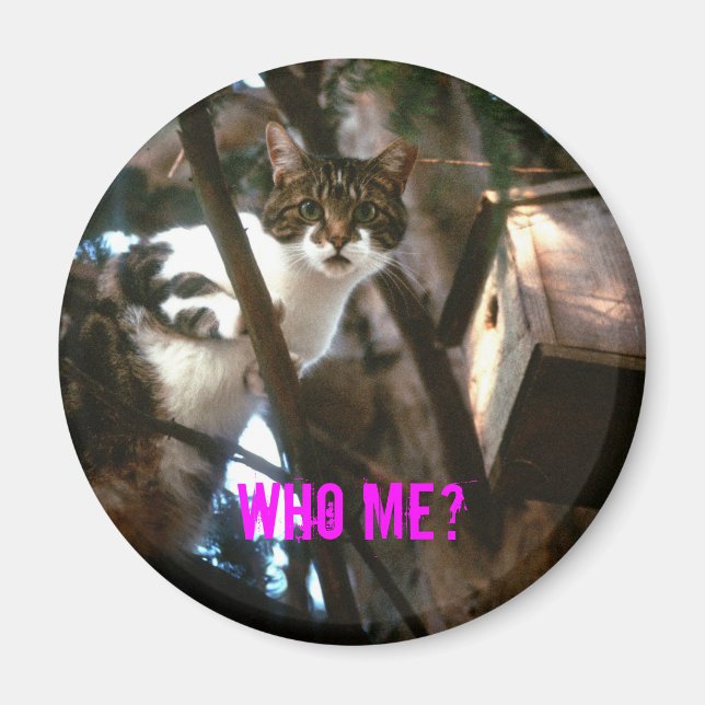 Guilty! Magnet (Front)