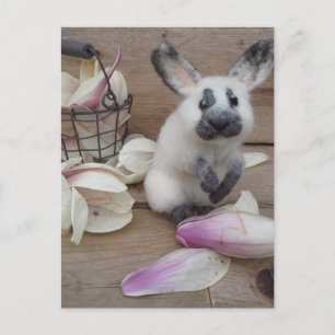 Guilty rabbit postcard