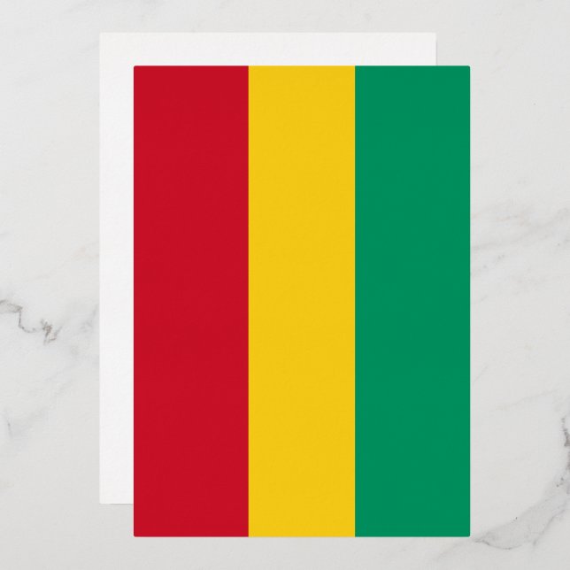 Guinea flag (Front/Back)