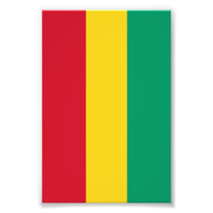 Guinea flag photo print