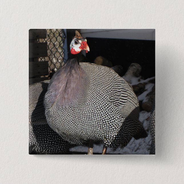 Guinea Fowl 15 Cm Square Badge (Front)
