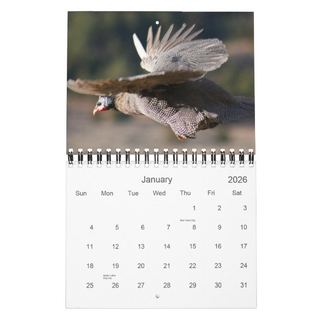 Guinea Fowl Calendar for 2012 (Jan 2026)