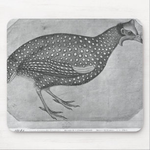 Guinea Fowl, from the The Vallardi Album Mouse Pad