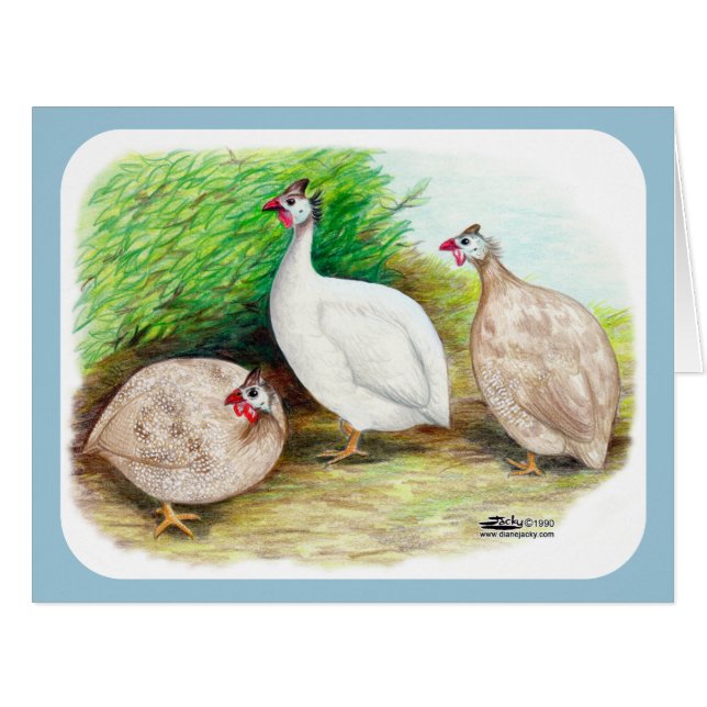 Guinea Fowl Outside (Front Horizontal)