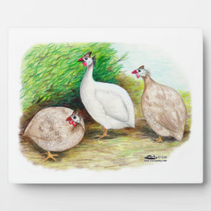 Guinea Fowl Outside Plaque