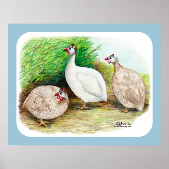 Guinea Fowl Outside Poster (Front)