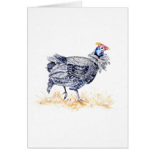 Guinea hen